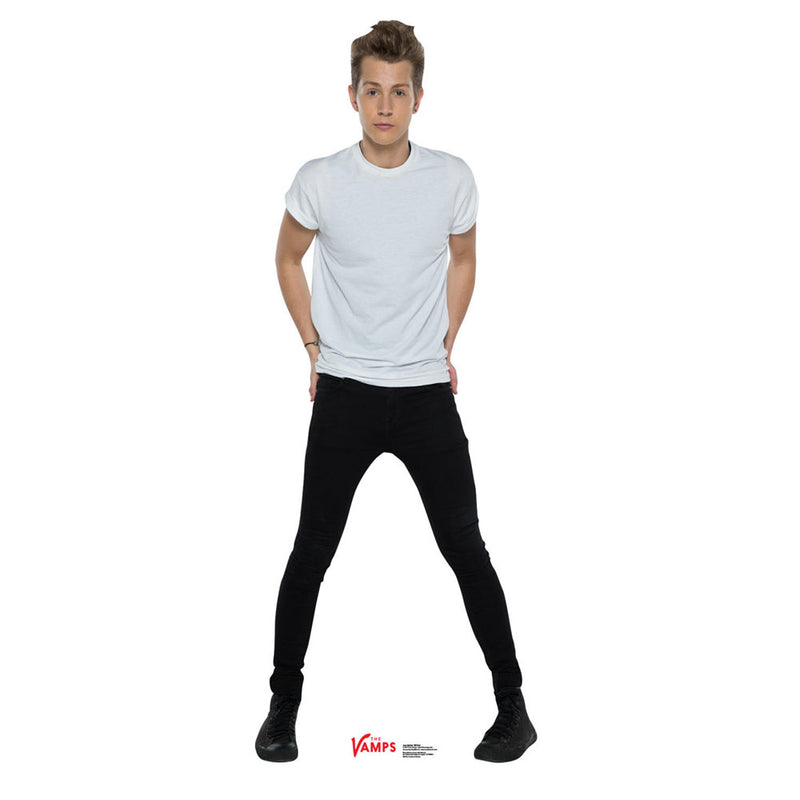 THE VAMPS - Official James Mcvey 2 / Standee