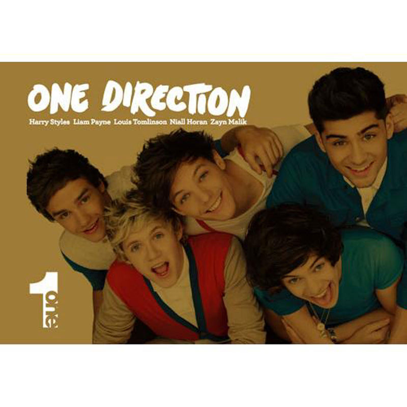 ONE DIRECTION - Official Members Speak! Photos 1 One / Photography Book