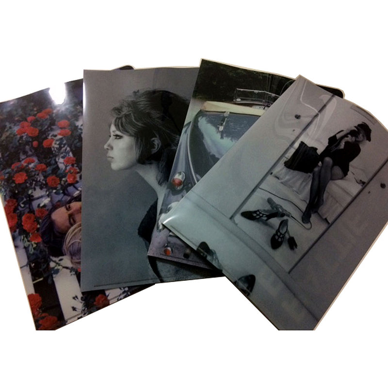 GEORGE HARRISON - Official Pattie Boyd Clear File (Set Of Four) / Binders & File Folders