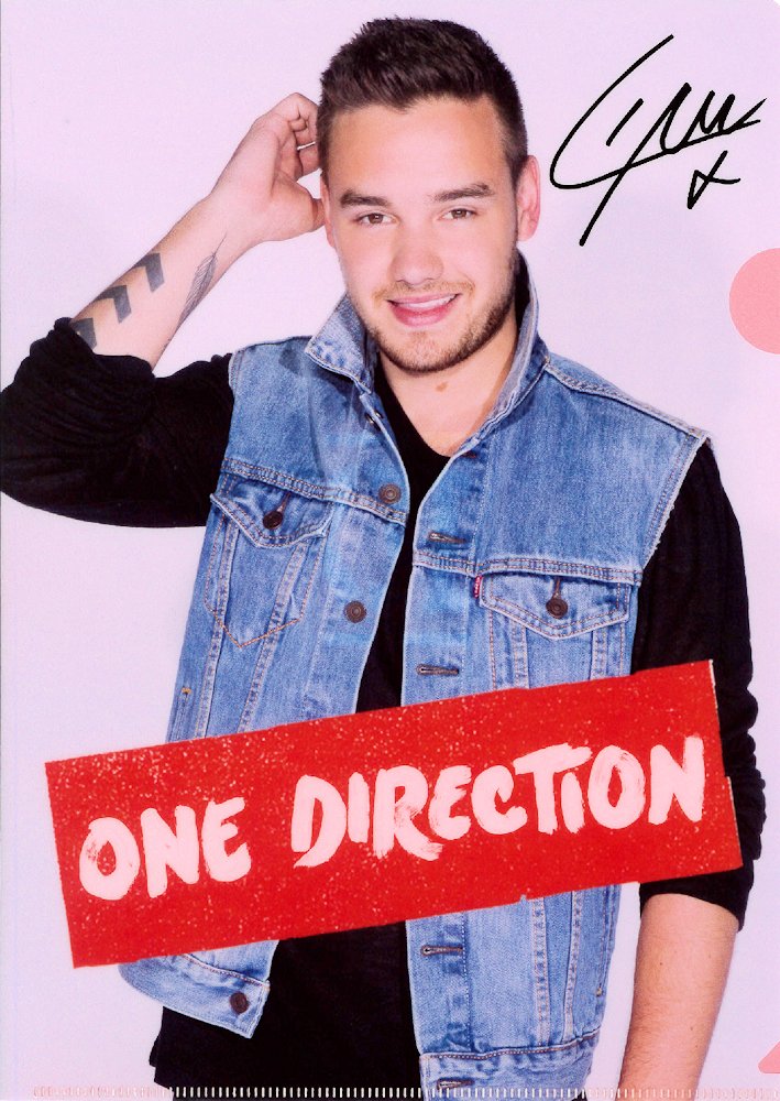 ONE DIRECTION - Official Clear File Set Of 5 Vol.2 / Binders & File Folders