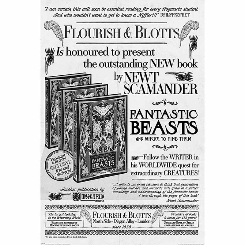 HARRY POTTER - Official Flourish And Blotts / Poster