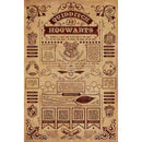HARRY POTTER - Official Quidditch At Hogwarts / Poster